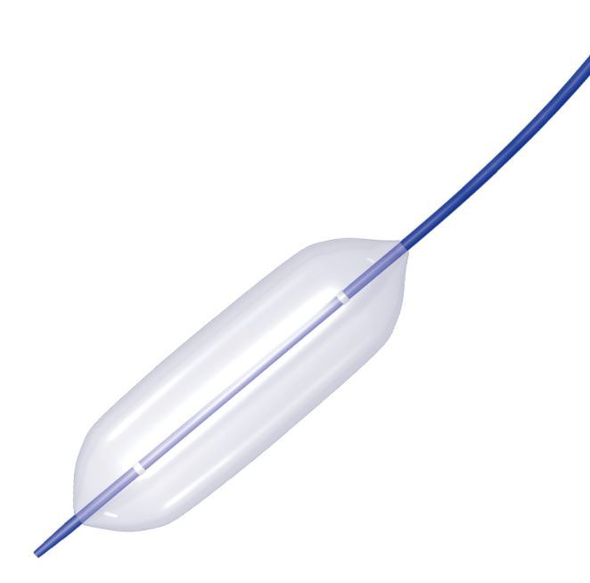 Disposable Dilation Balloon Catheter